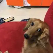 KRyoの画像