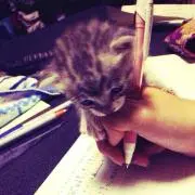 みかん