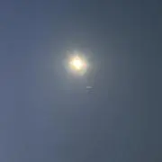 moonbeamの画像