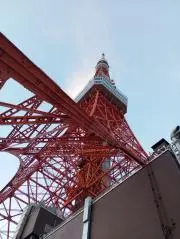 KOKOの画像