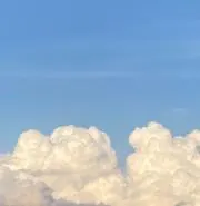 ぽんの画像