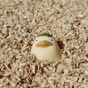 スカ