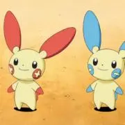 りんごの画像