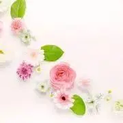 YU-yuの画像