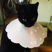 まる