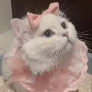 ねこꯁꯧ地雷量産アイテム♡の画像