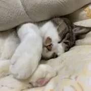 mm ＊プロフ見てください＊の画像