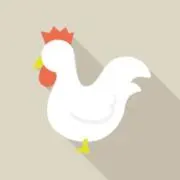 ゆきちの画像