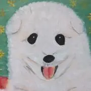 Yumeiの画像