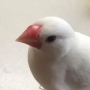 ヒロ