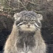 miの画像