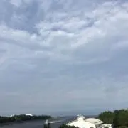TYの画像
