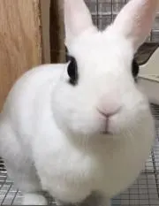 のりおの画像