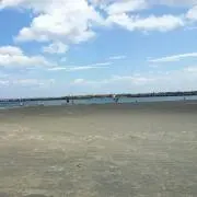 DY