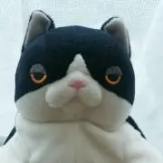 第20回トヨタカップ マンチェスター・ユナイテッドvsパルメイラス