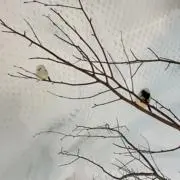 178178⭐︎の画像