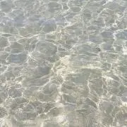 momoの画像