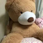 たかの画像