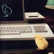 まろりの画像