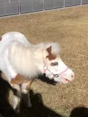 emmaの画像