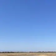 ぽこの画像