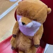 かわうそさんの画像