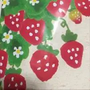 なひの