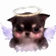 強さゆえの日々シーサーの画像