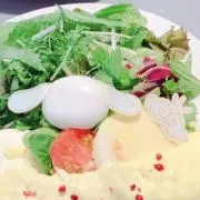 ❄︎ ❄︎ ❄︎