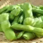 えだまめ 【プロフみてね^^！】の画像