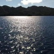 noritama33