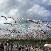いちりんの画像