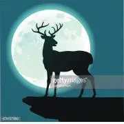 キリ