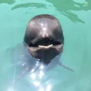 tommmの画像
