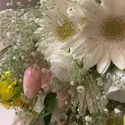 おはぎ