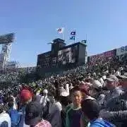 マルヤスの画像