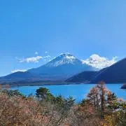 しらたまあんみつの画像