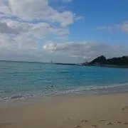 piro-tyの画像