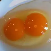 グリーンティ【プロフ必読】の画像