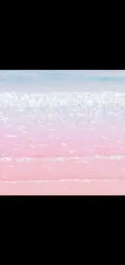 おもちの画像
