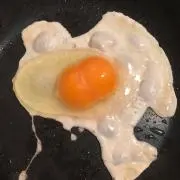 ーひびきの画像