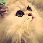 ベルっち☆の画像
