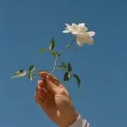 k♡の画像