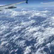 taisukeの画像
