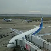 ☆初心者☆の画像