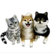 まるの屋の画像