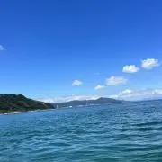 たか(コメントなし即購入可能)の画像