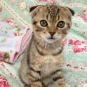 ♡よしとも♡