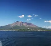 ヨッピーの画像