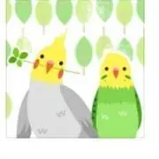 しのの画像